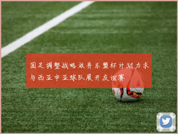国足调整战略放弃东盟杯计划力求与西亚中亚球队展开友谊赛